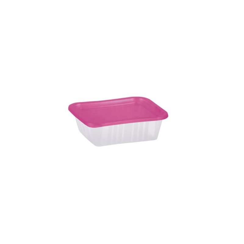 5-Piece Food Storage Box Set, each 0.5L - Image 5