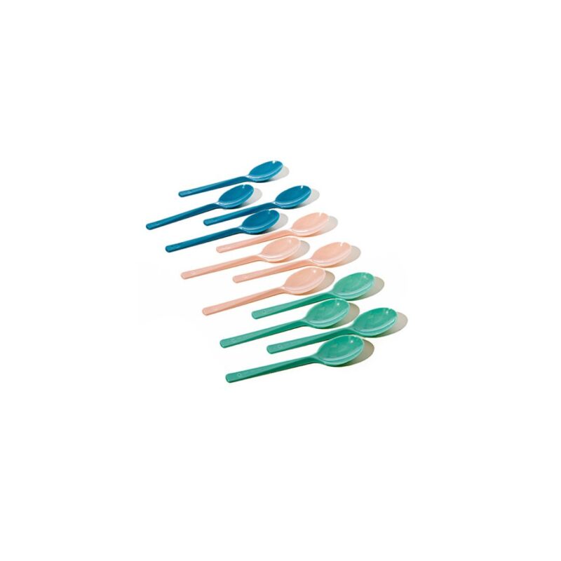 Spoon Picnic Set 12 Pieces