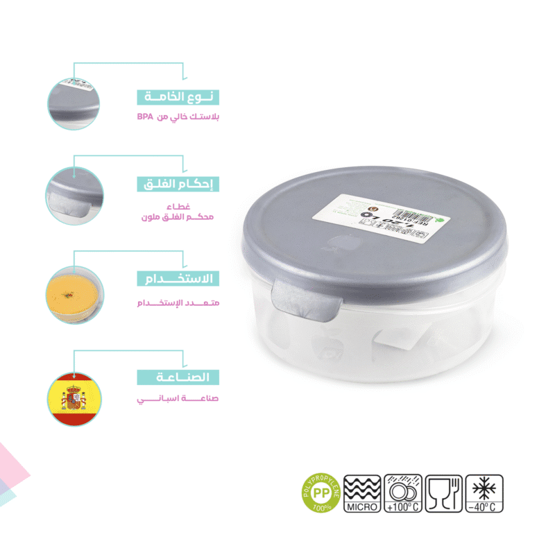 BPA free silver food storage box