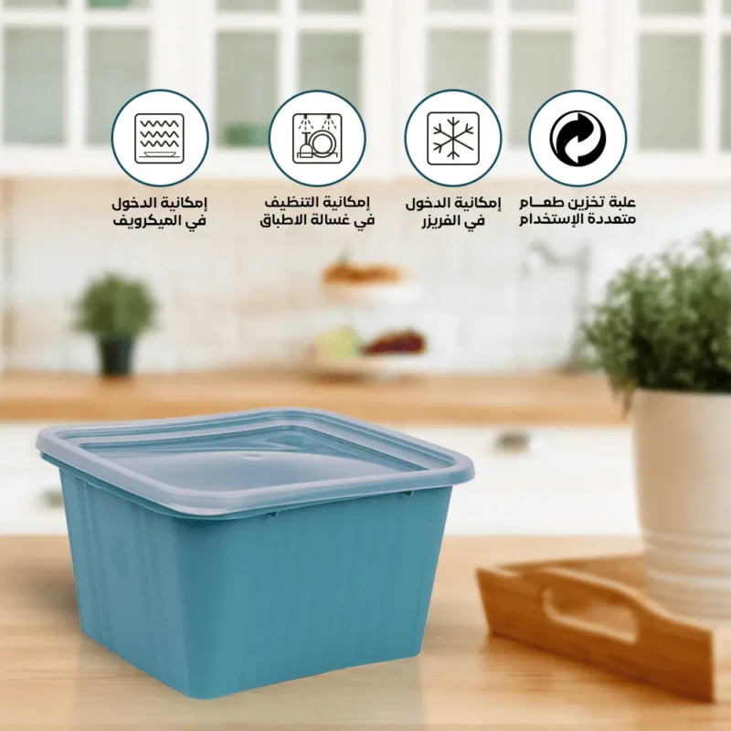 airtight blue food storage container set of 2 Dishwasher safe