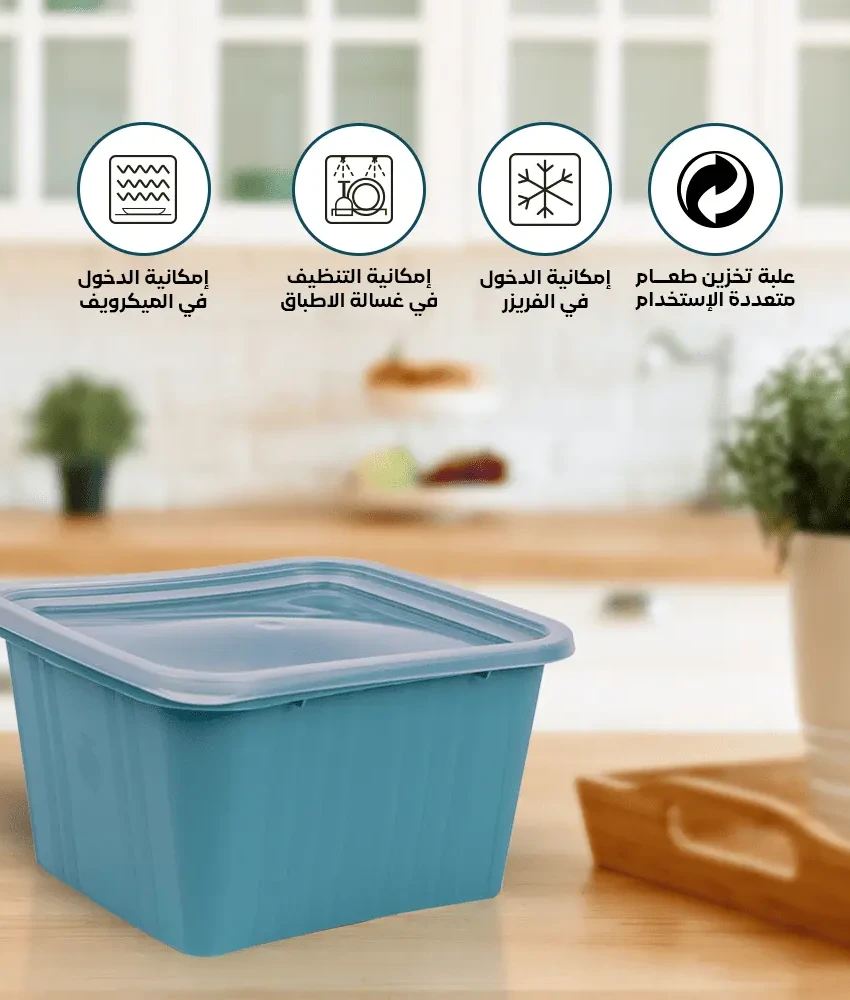 airtight blue food storage container set of 2 Dishwasher safe