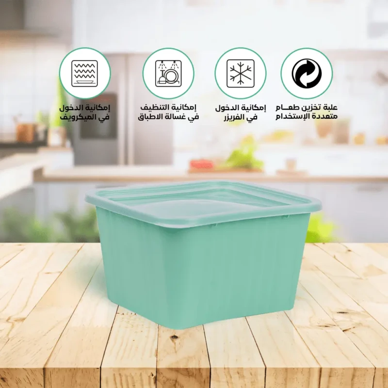 airtight food storage container set of 2 Dishwasher safe