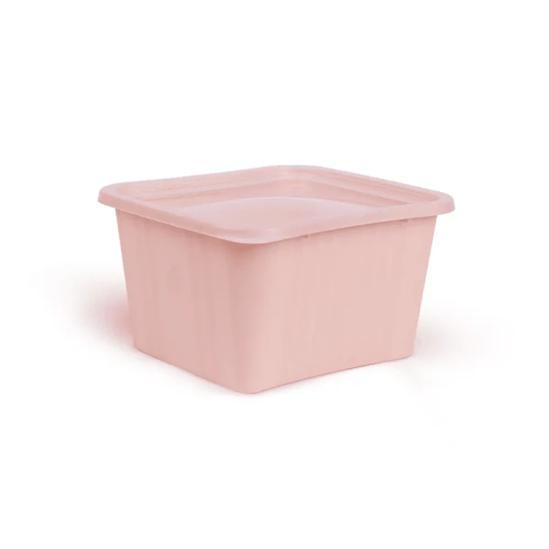 airtight pink food storage container set of 2