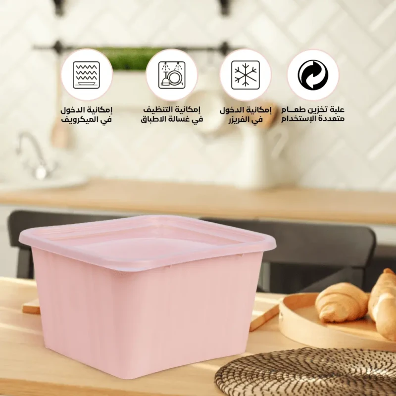 airtight pink food storage container set of 2 Dishwasher safe