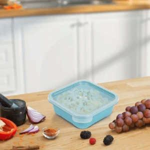 plastic storage boxes for food with lids