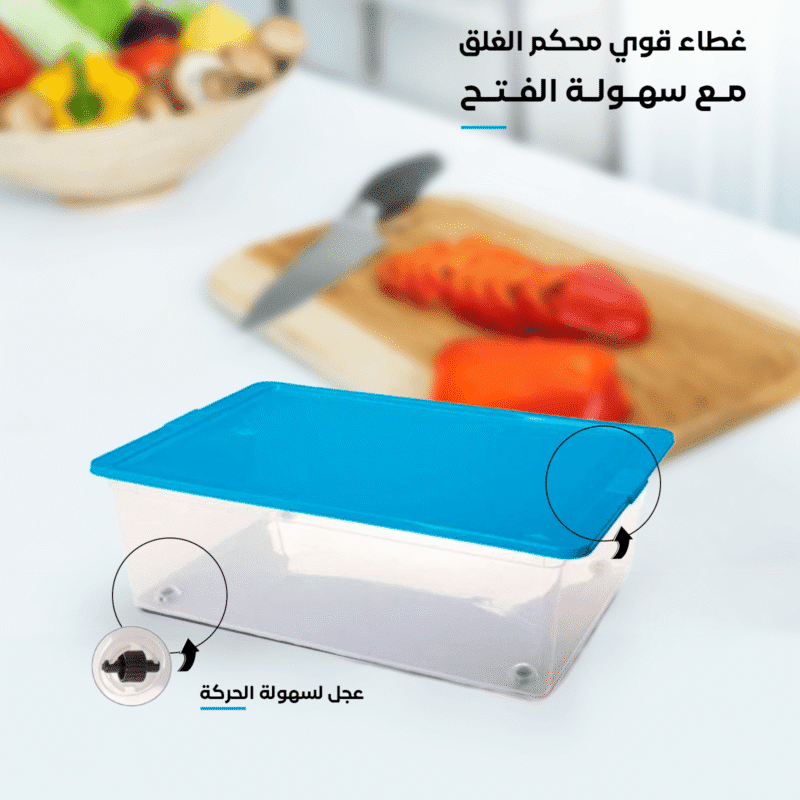 blue storage box with wheels with strong lid