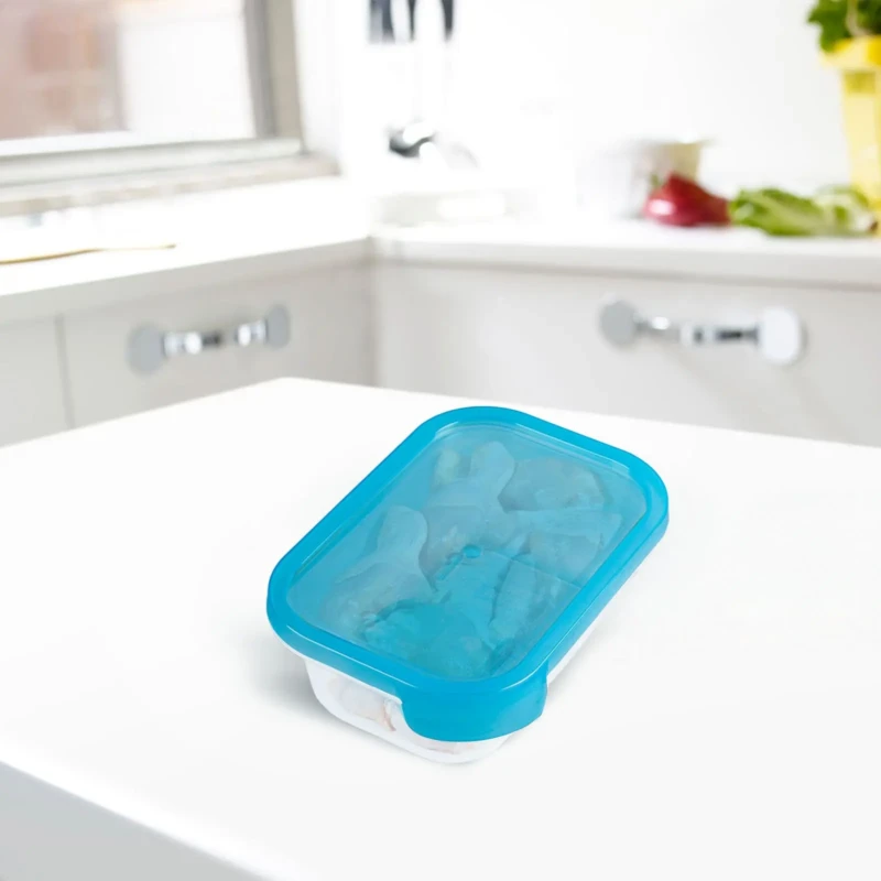 blue tapper fresh food box suitable capacity for everyday use