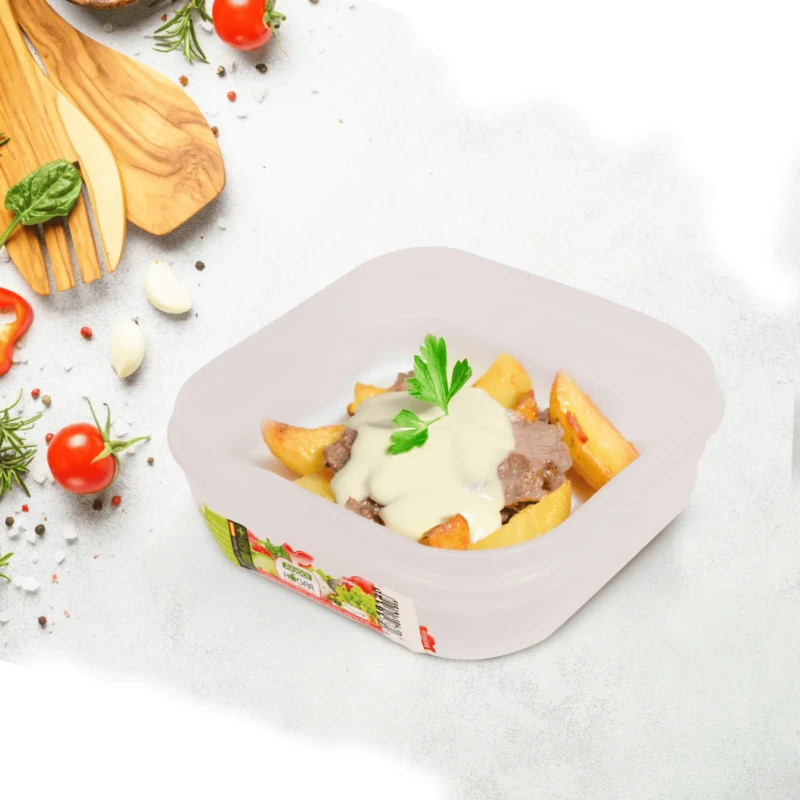 BPA free lunch box with clip lock