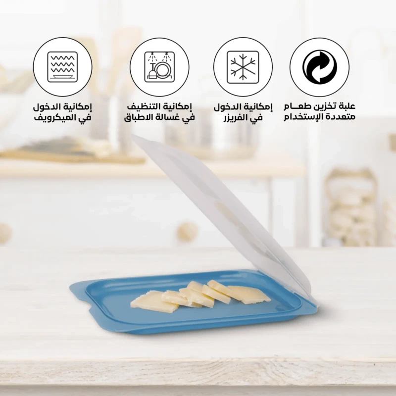Dishwasher safe meat container with secure lids