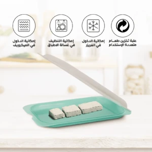 Dishwasher safe meat turquoise container with secure lids