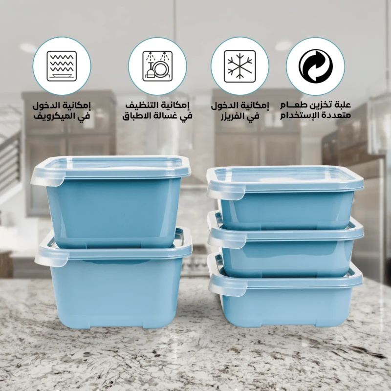 Freezer friendly set of 5 blue food containers