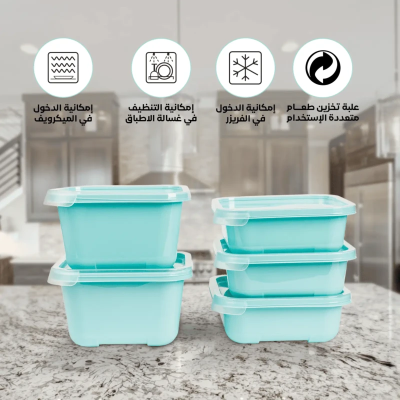Freezer friendly set of 5 green food containers