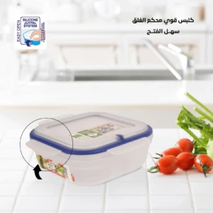 clear plastic food storage containers with lids