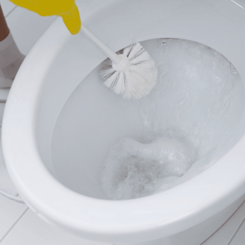 ⁦square toilet brush with holder High durability Spanish plastic⁩ - الصورة ⁦3⁩