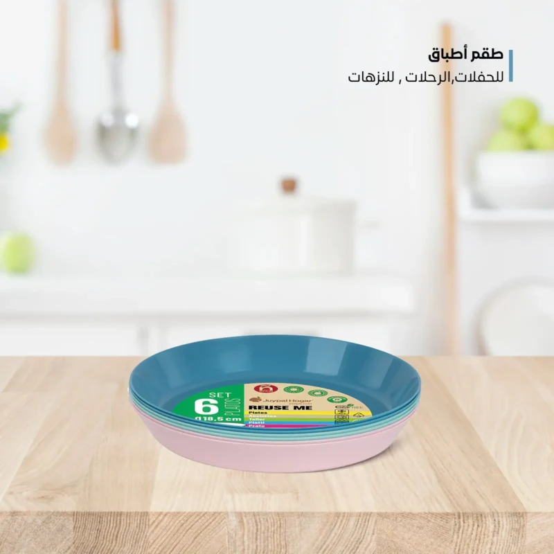 plastic plates suitable for picnics
