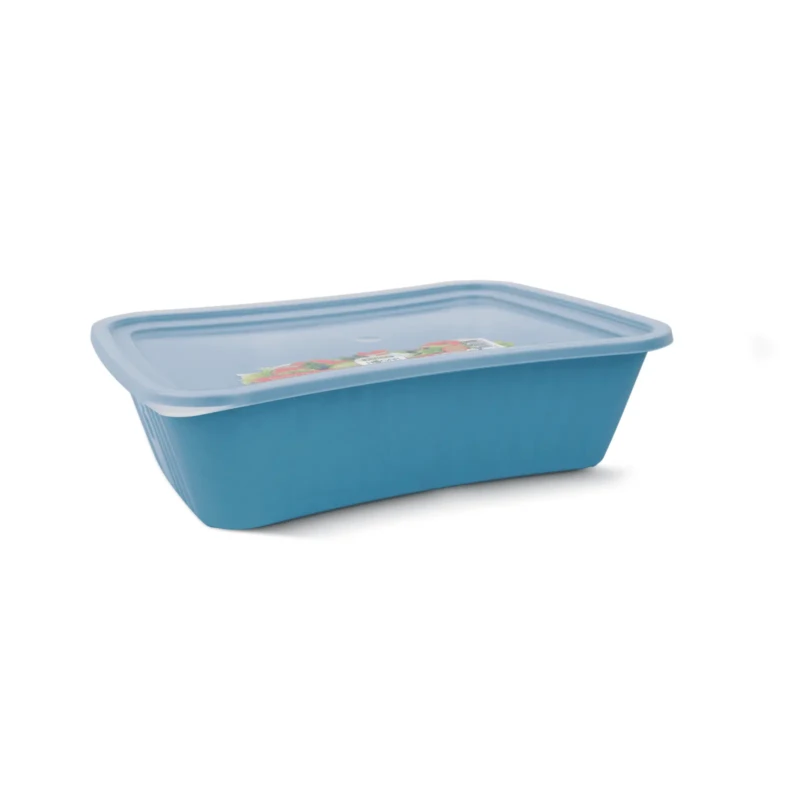 rectangle food box