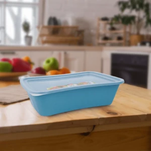 rectangle food storage container with lid