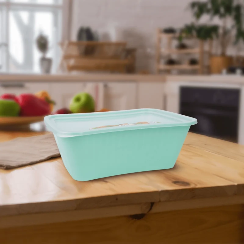 Rectangle turquoise food box practical and stylish design