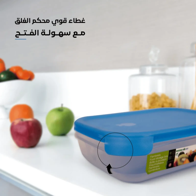 Rectangular food container with durable tightly sealed blue lid