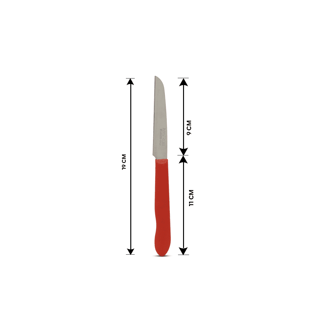 Flat Blade Kitchen Knives Set 9 CM – Colored Handle – Made in Italy - الصورة 9