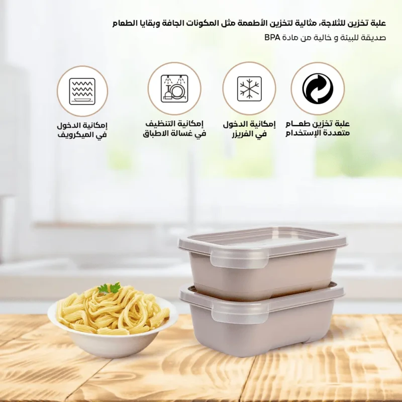 Set of 2 small food beige boxes 0.5L freezer safe