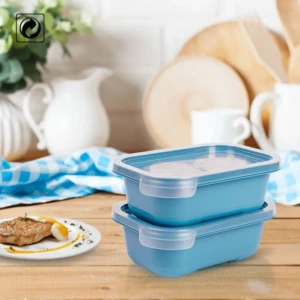 Set of 2 small food boxes 0.5L each multi purpose use