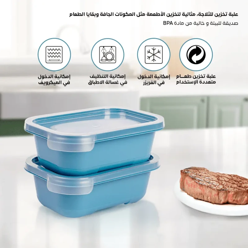 Set of 2 small food boxes 0.5L freezer safe