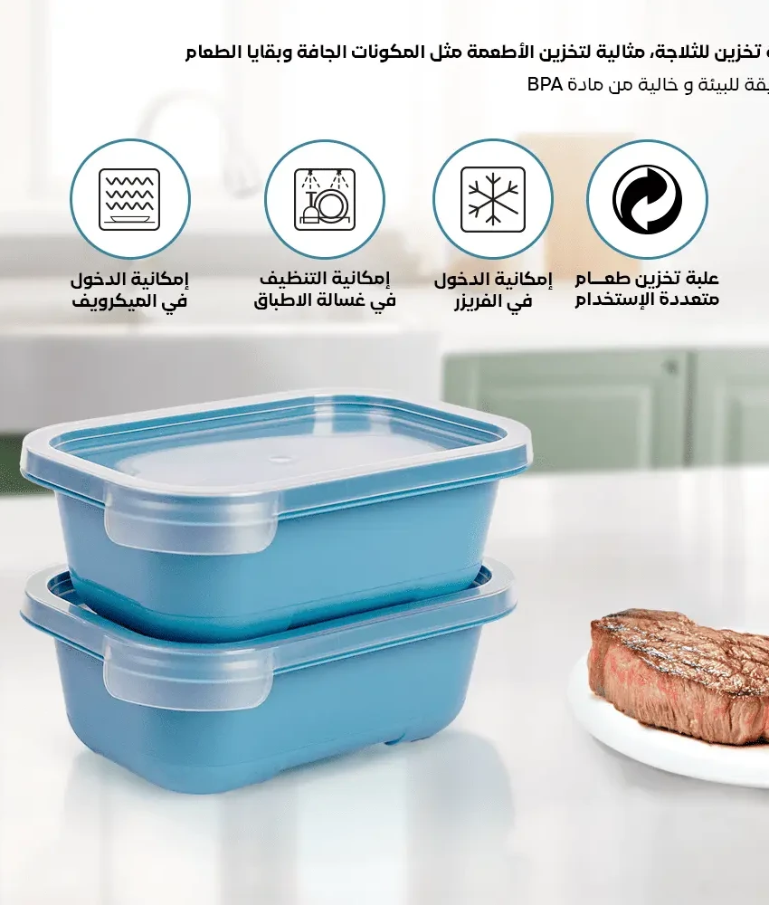 Set of 2 small food boxes 0.5L freezer safe