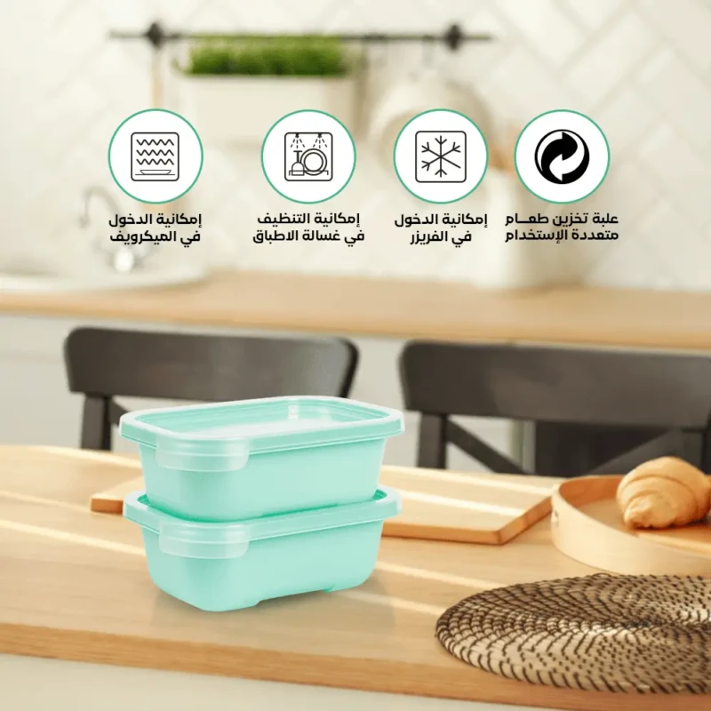 Set of 2 small food turquoise boxes 0.5L freezer safe