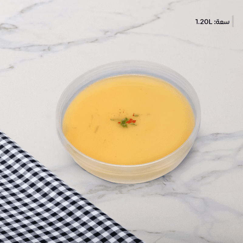 silver food storage box 1.20 liter capacity