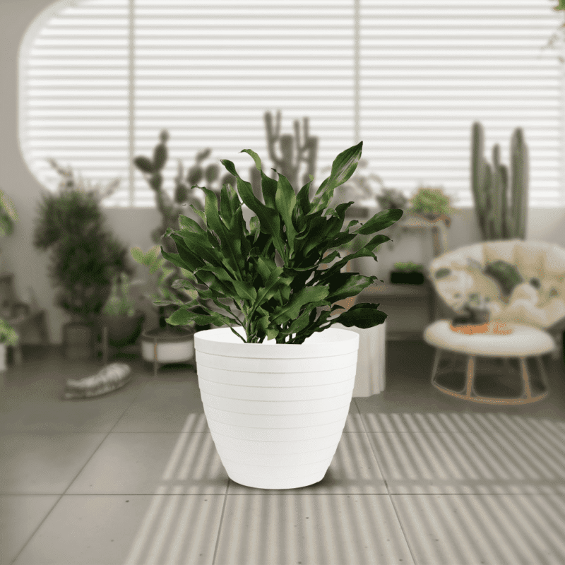 ⁦round flower pot design Suitable for use at different temperatures.⁩ - الصورة ⁦25⁩