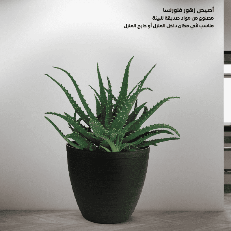 ⁦round flower pot design Suitable for use at different temperatures.⁩ - الصورة ⁦22⁩