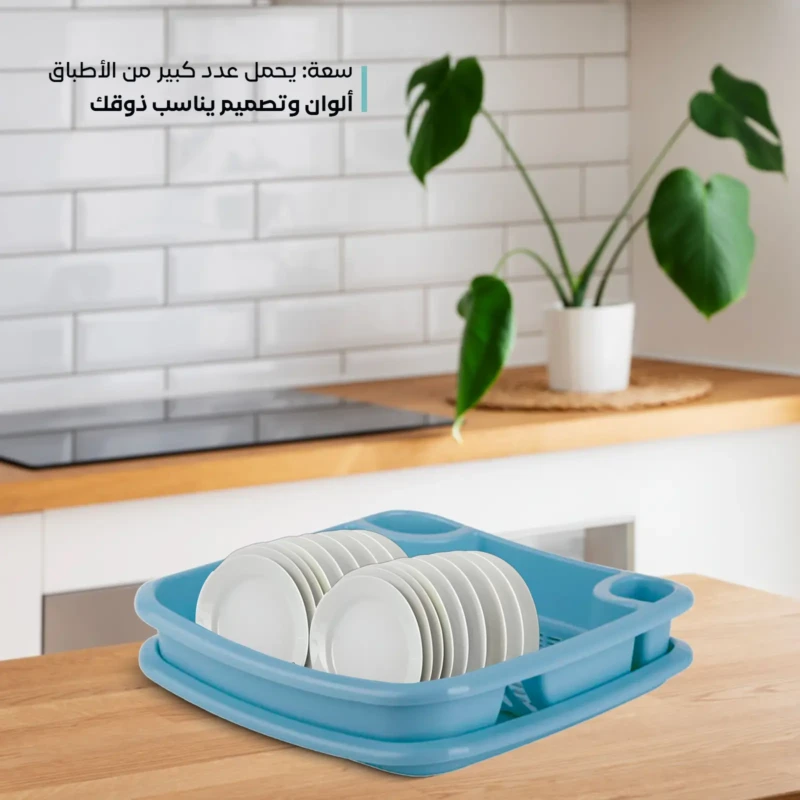stylish design DISH RACK WITH TRAY
