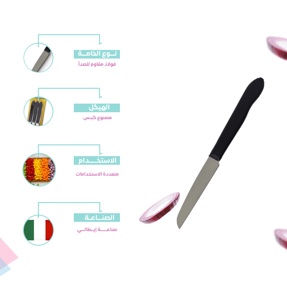 Flat Blade Kitchen Knives Set 9 CM – Colored Handle – Made in Italy - الصورة 3