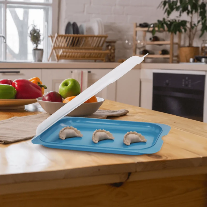 versatile meat storage box with lids