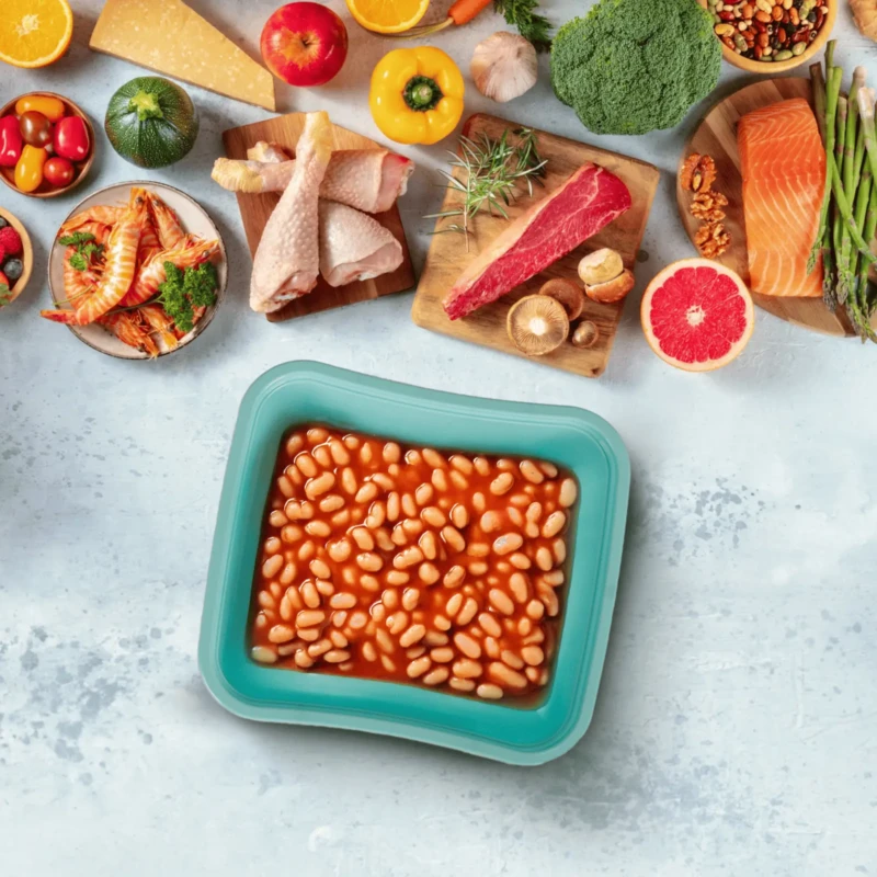 Versatile set of 5 food containers 0.5L to 1L
