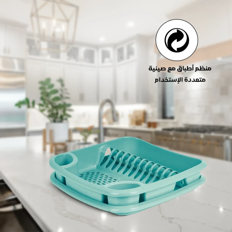 versatile turquoise DISH RACK WITH TRAY